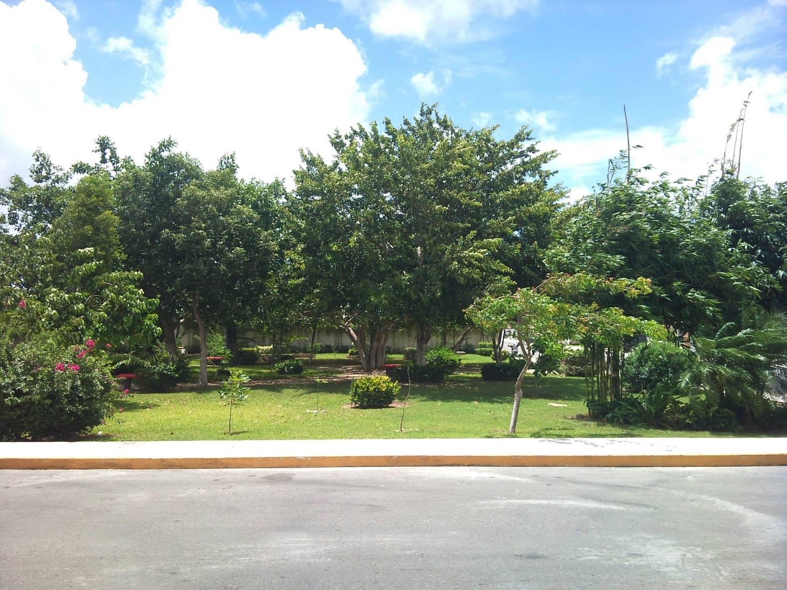 PARQUE CHICO
