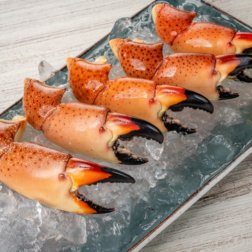 Fred's | El mejor restaurante de marisco...